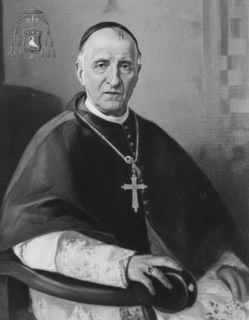 Domenico Francesco Gaetano Zelo