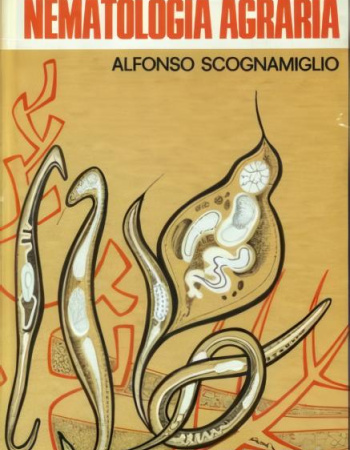 Alfonso Scognamiglio