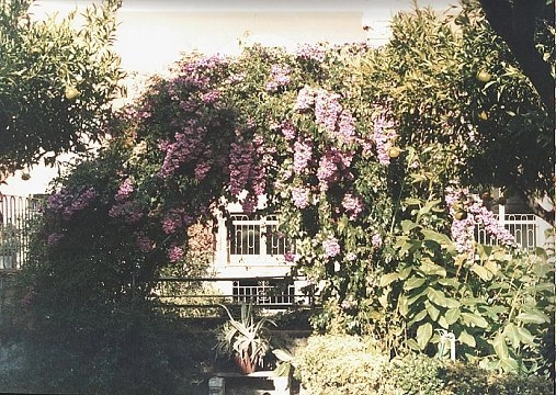 Palazzo Orsini Gravina