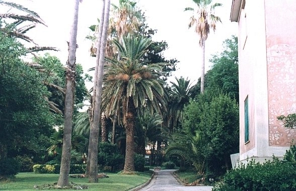 Casa Materna